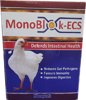 gut acidifiers poultry